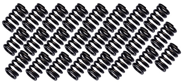 Valve Spring Kit, Set of 24
Suit Nissan RB26DETT