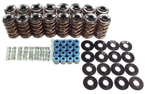 Dual Valve Spring Kit
Suit GM LS