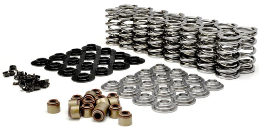 GM LS Dual Valve Spring Kit
1.320O.D With 141 lbs @ 1.810" SeatPressure