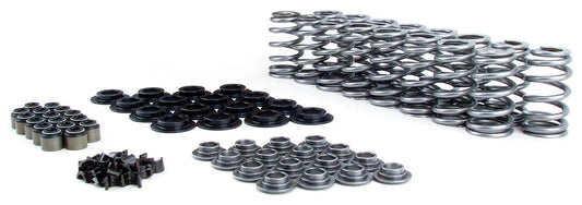 Dual Valve Spring Kit
Suit GM LS Series