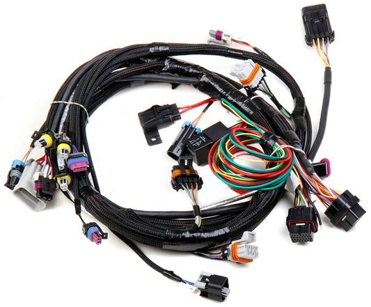 LS1/LS6 Main Wiring Harness
Suit HP & Dominator EFI With 24x Crank Sensor