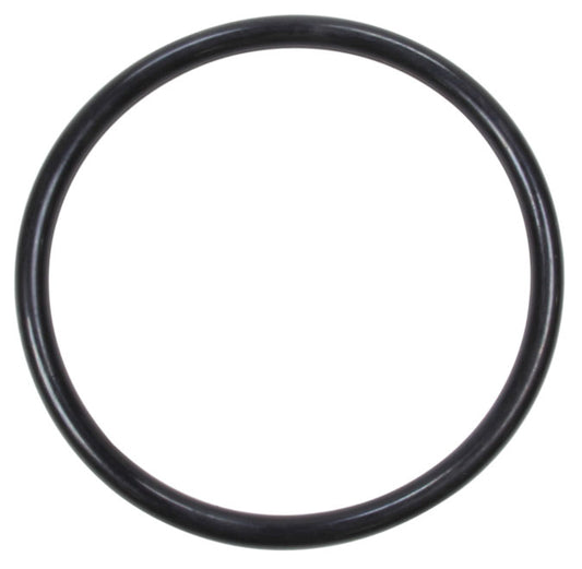 Replacement Jug Cap O-Ring