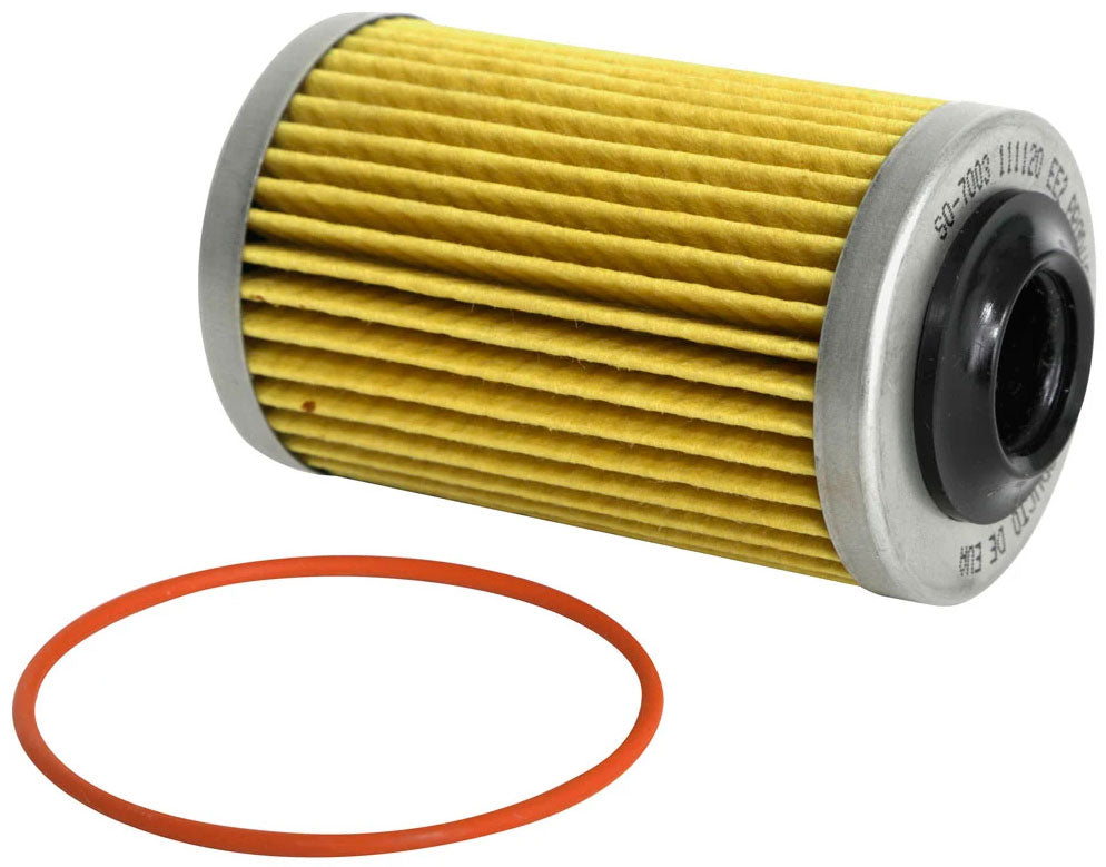 Select Series Replacement Oil Filter Cartridge (R2605P)
Fits Holden Alloytec V6